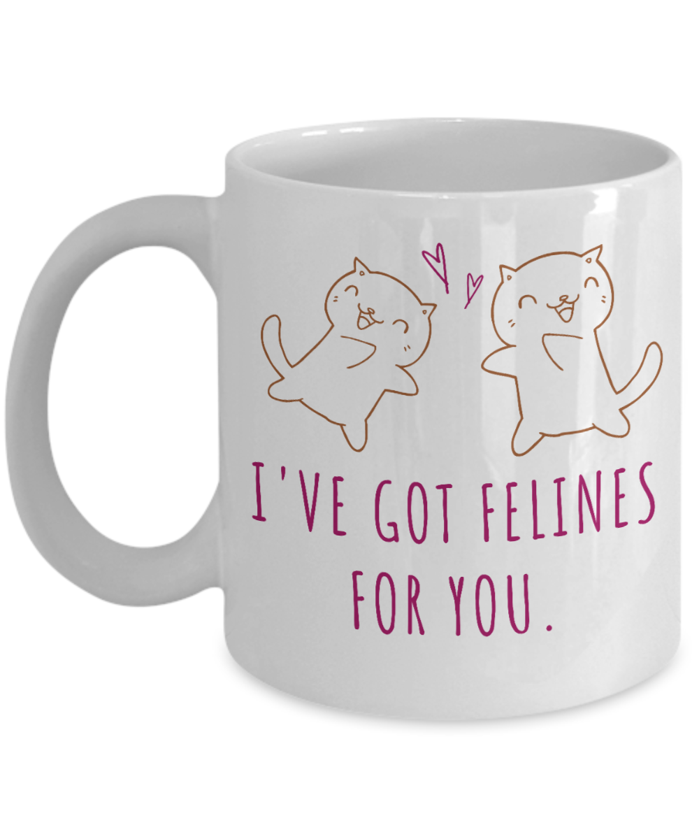 Cat Lovers Gifts Coffee Mug Ive Got Feelings For You Birthday Christmas Gift Idea For Men Women 11 oz or 15 oz